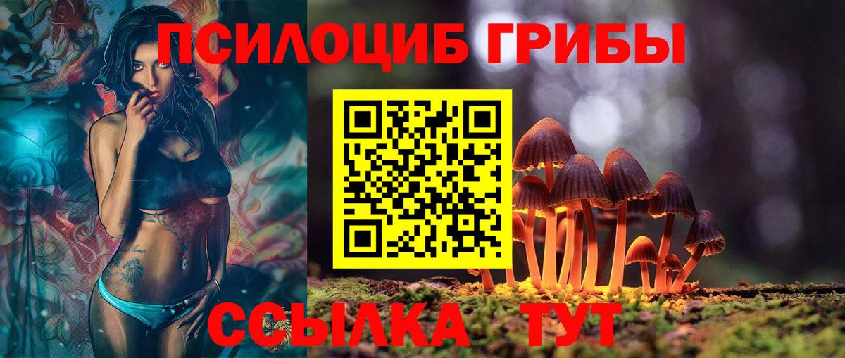 Псилоцибиновые грибы мухоморы  закладки  Еманжелинск  Галлюциногенные грибы Magic Shrooms  Вход с VPN 